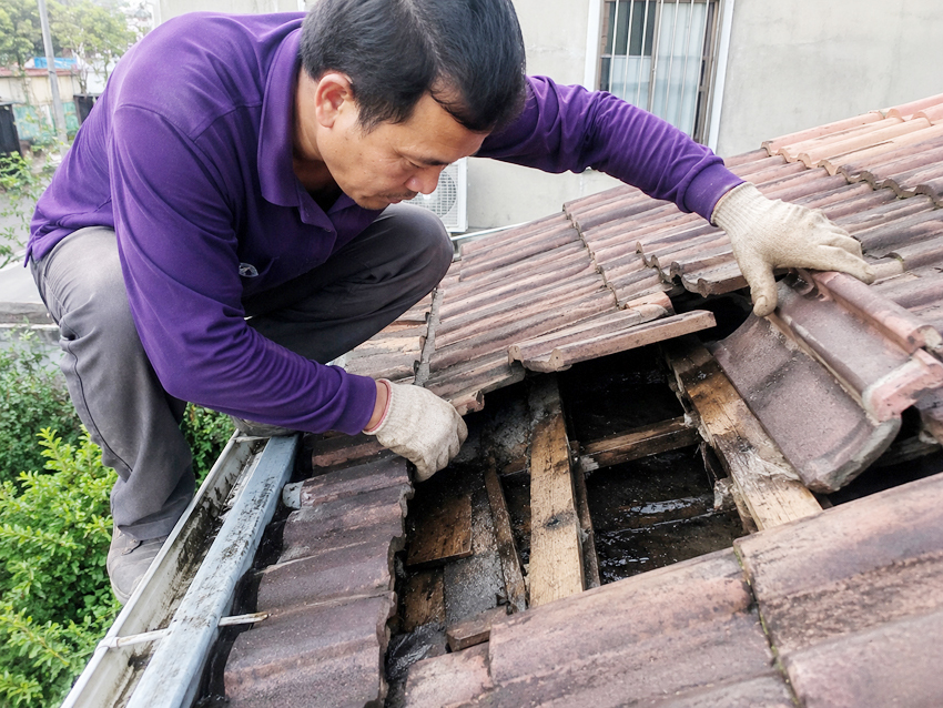 Pentingnya Memilih Tukang Sesuai Jenis Renovasi 1