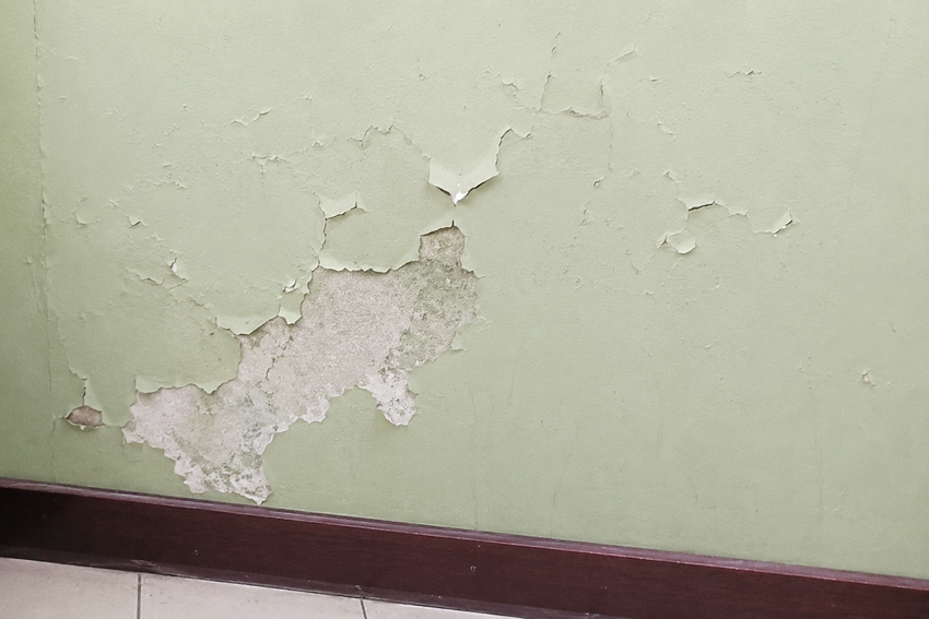 penyebab yang paling sering membuat cat baru cepat mengelupas